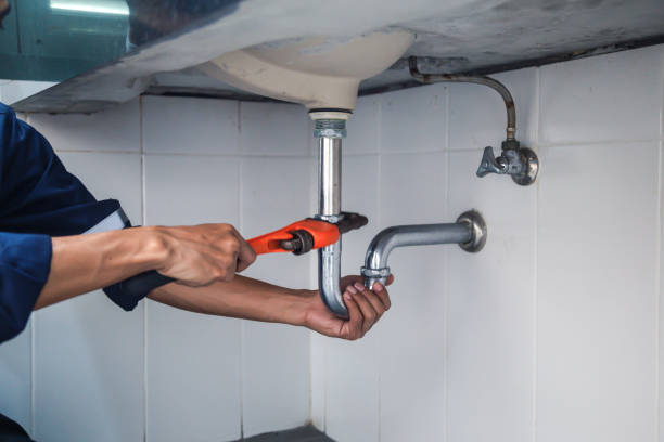 Best Clogged Drain Plumber  in Grand Ledge, MI